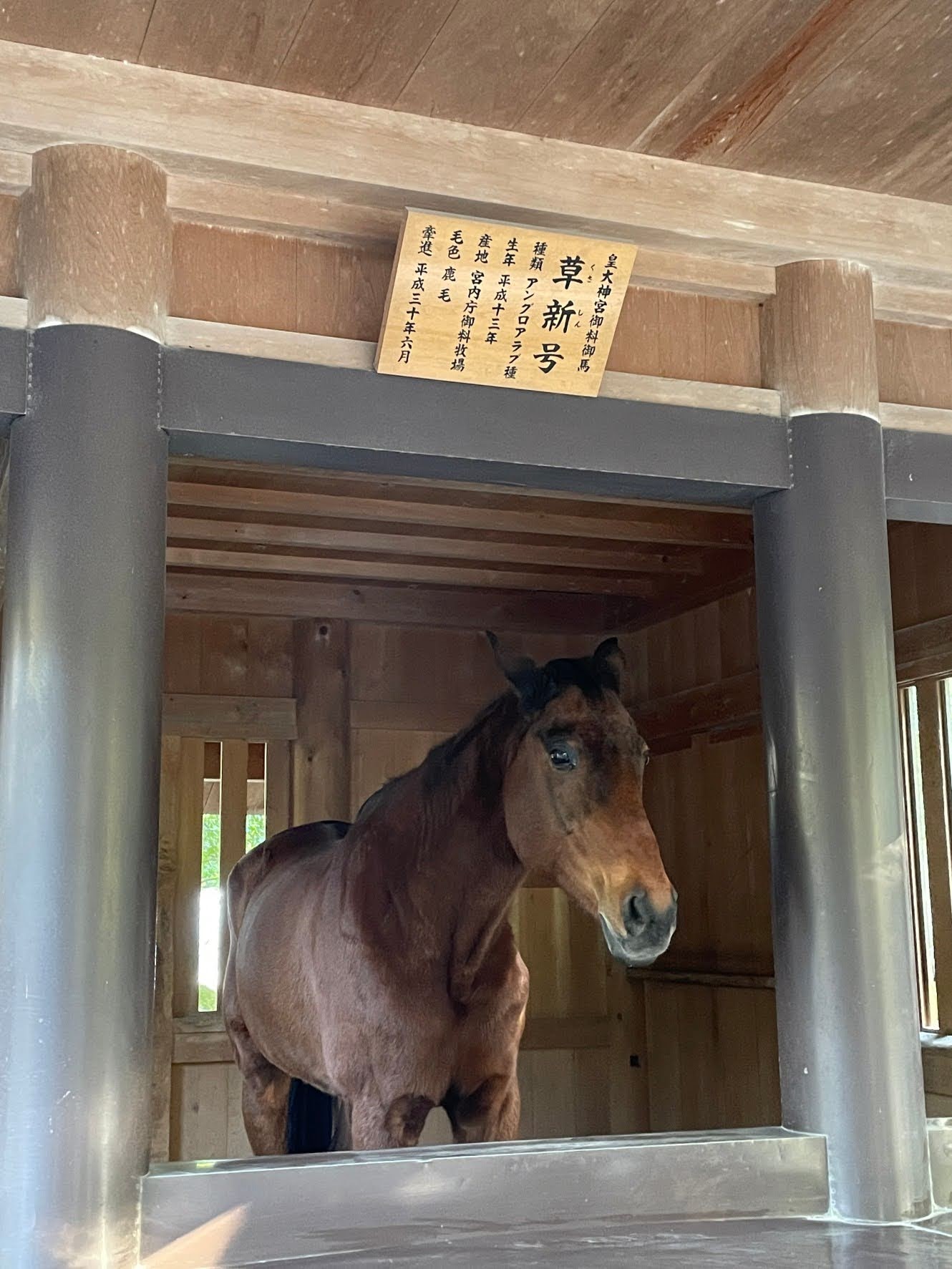 画像に alt 属性が指定されていません。ファイル名: 1640697730433.jpg